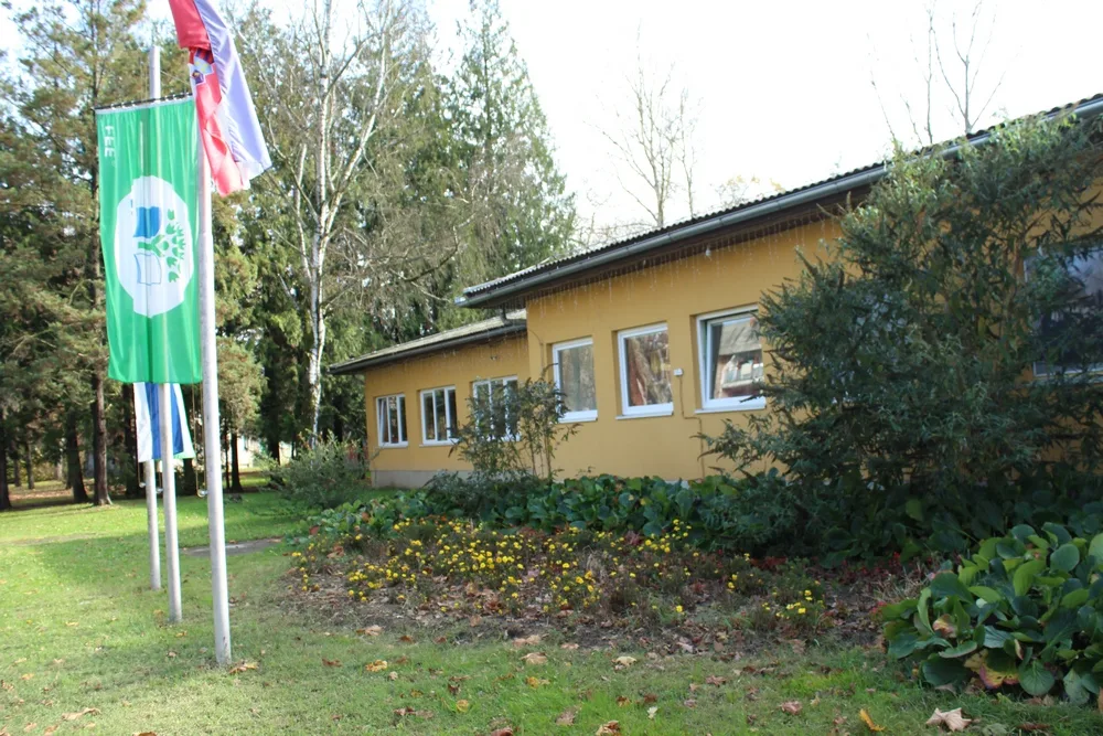 Trenutno pregledavate Maslačak