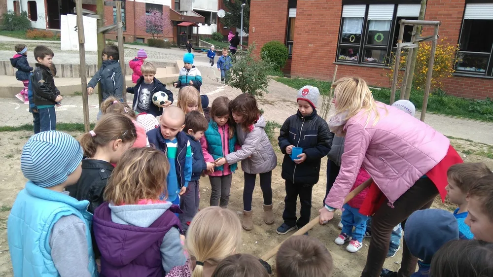 Trenutno pregledavate Djeca iz vrtića Sunce posadila Đuru, Lacka i Karla