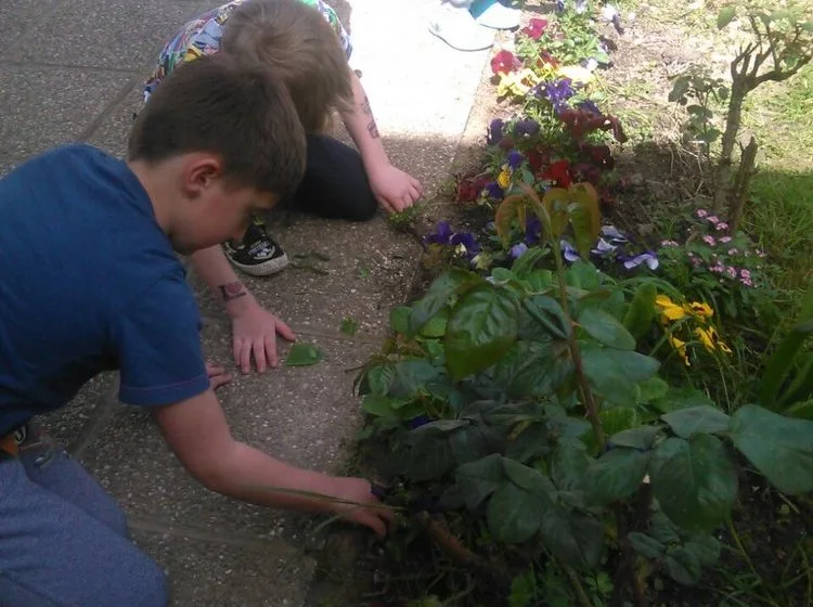 Pročitajte više o članku Cipelići uredili cvjetnjak