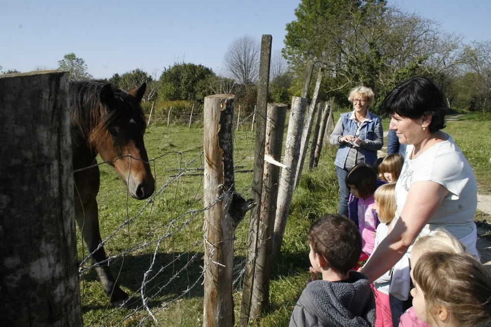 Trenutno pregledavate Prekrasan jesenski dan Jagodica u Boku Palanječkom