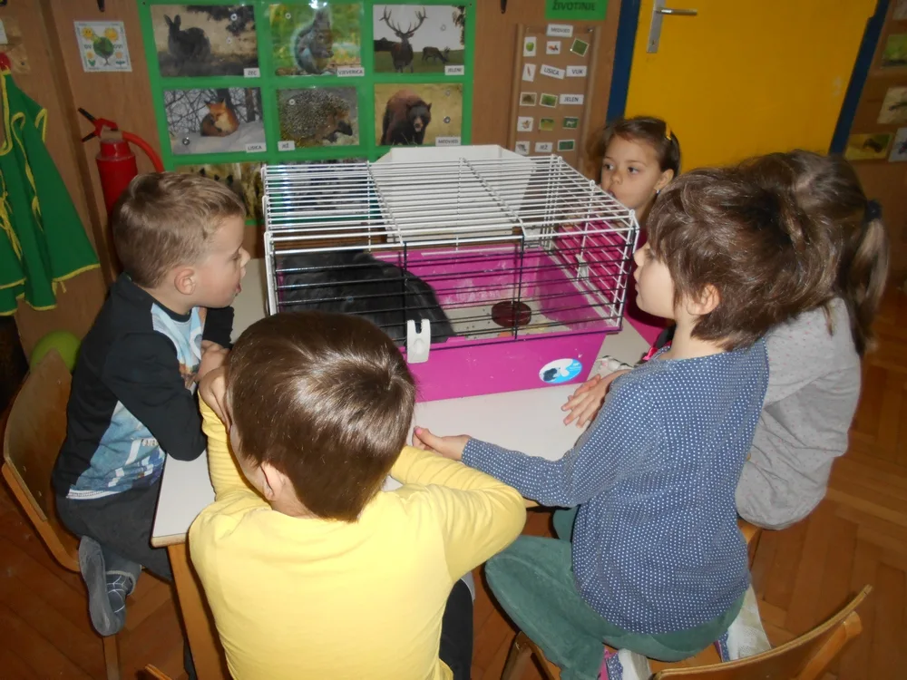 Trenutno pregledavate Zečica Cici u ponovnom posjetu “Zečićima”