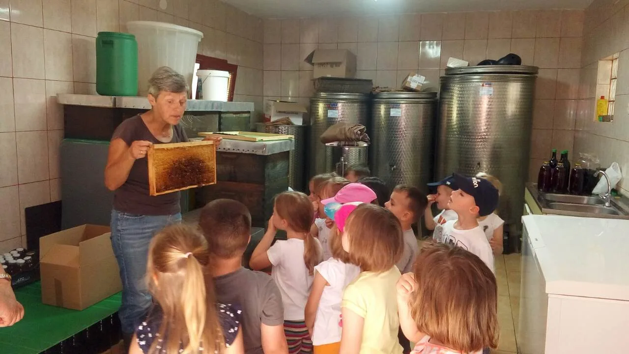 Trenutno pregledavate Jagodice na poludnevnom izletu na OPG obitelji Komarac koja se bavi ekološkim uzgojem kupina