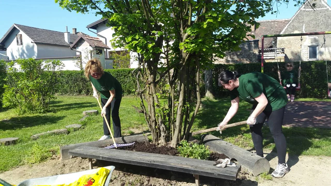 Trenutno pregledavate Zelena čistka – TRATINČICA