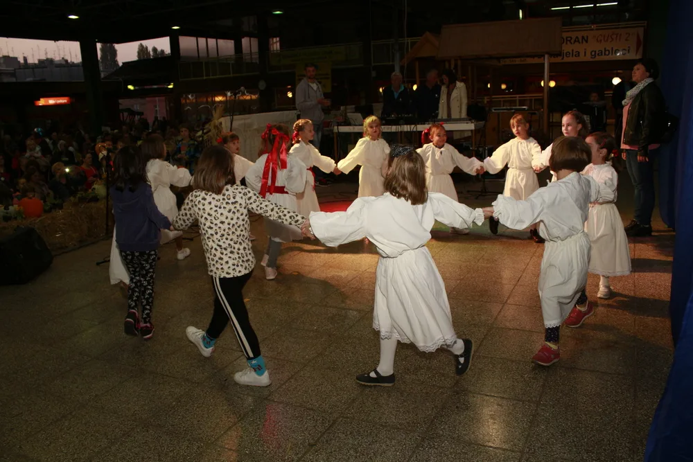 Trenutno pregledavate DV Sisak Novi na Danima zahvalnosti za plodove zemlje