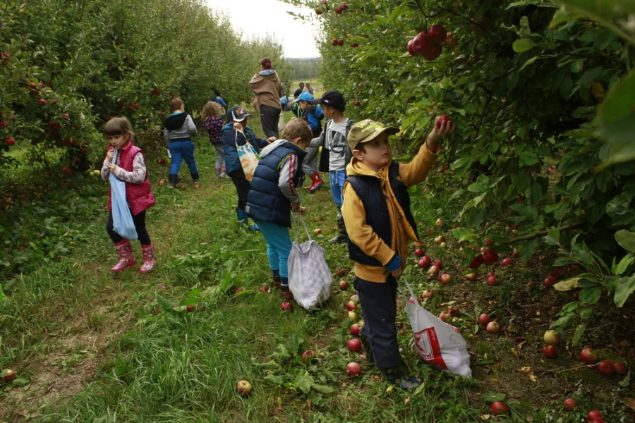 Pročitajte više o članku Izlet na plantažu jabuka u Donju Vlahiničku