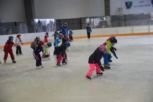 Pročitajte više o članku Počinje Škola klizanja
