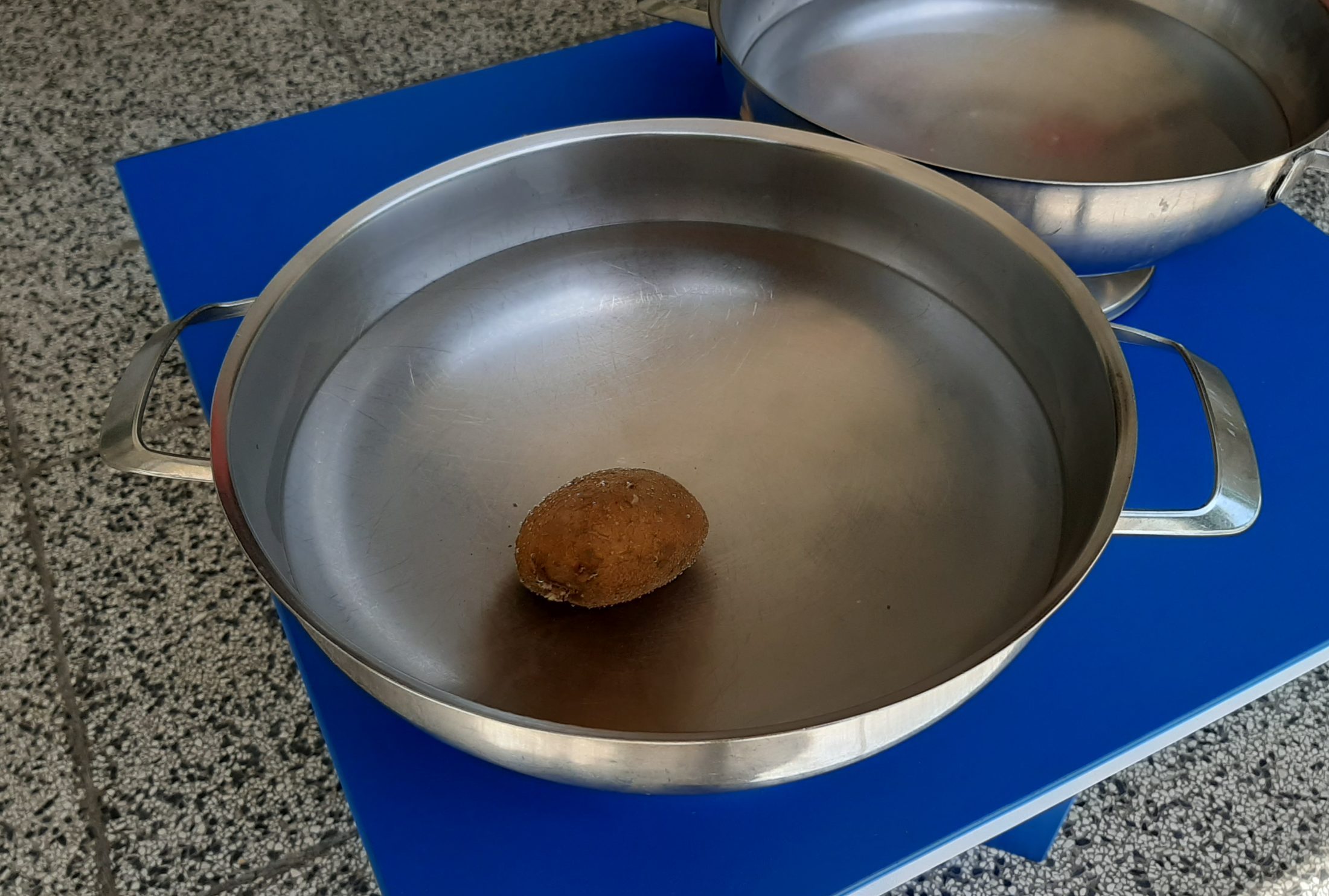 “Krumpirko pliva, krumpirko tone” – eksperiment vodom