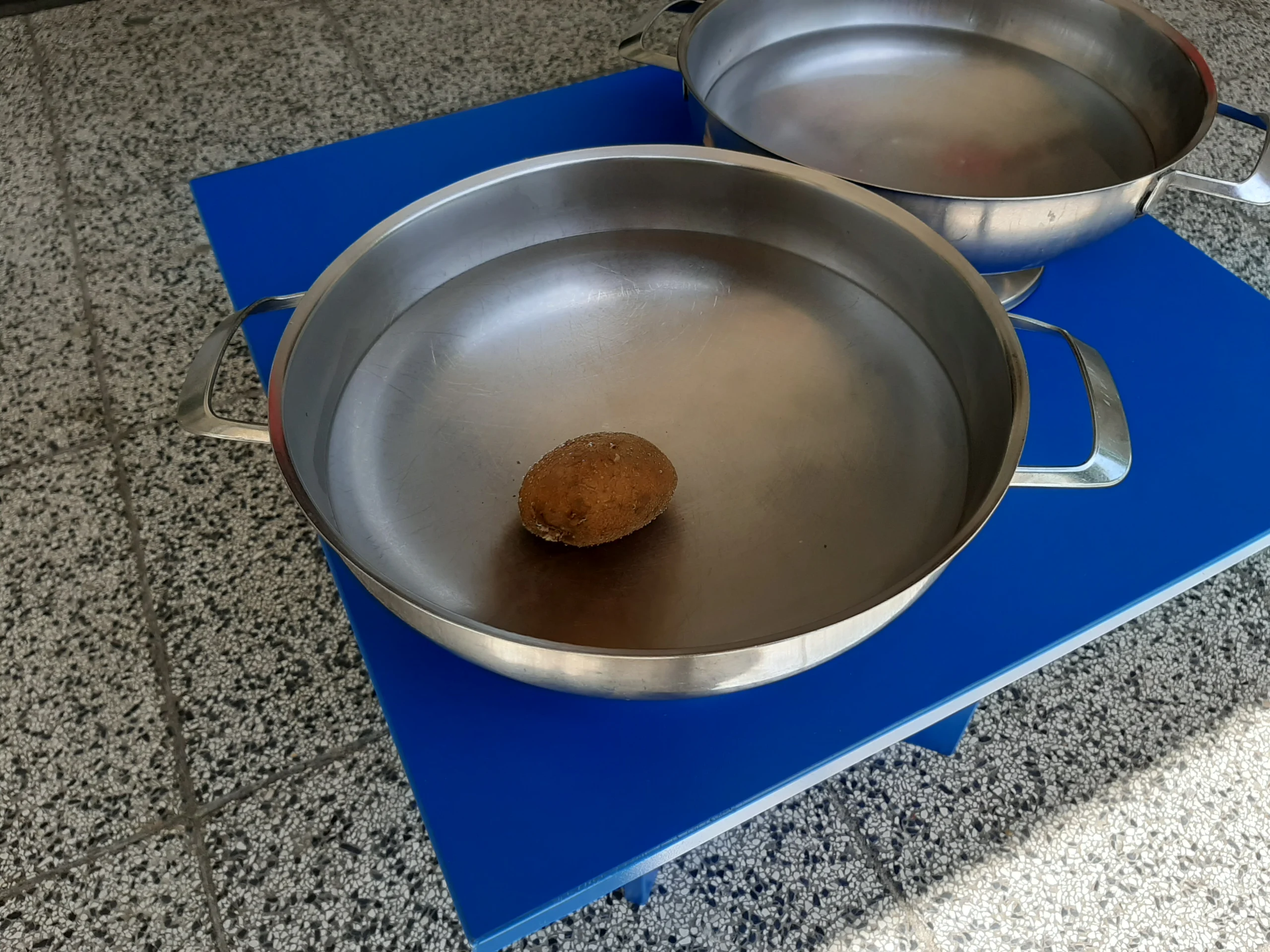 Trenutno pregledavate “Krumpirko pliva, krumpirko tone” – eksperiment vodom