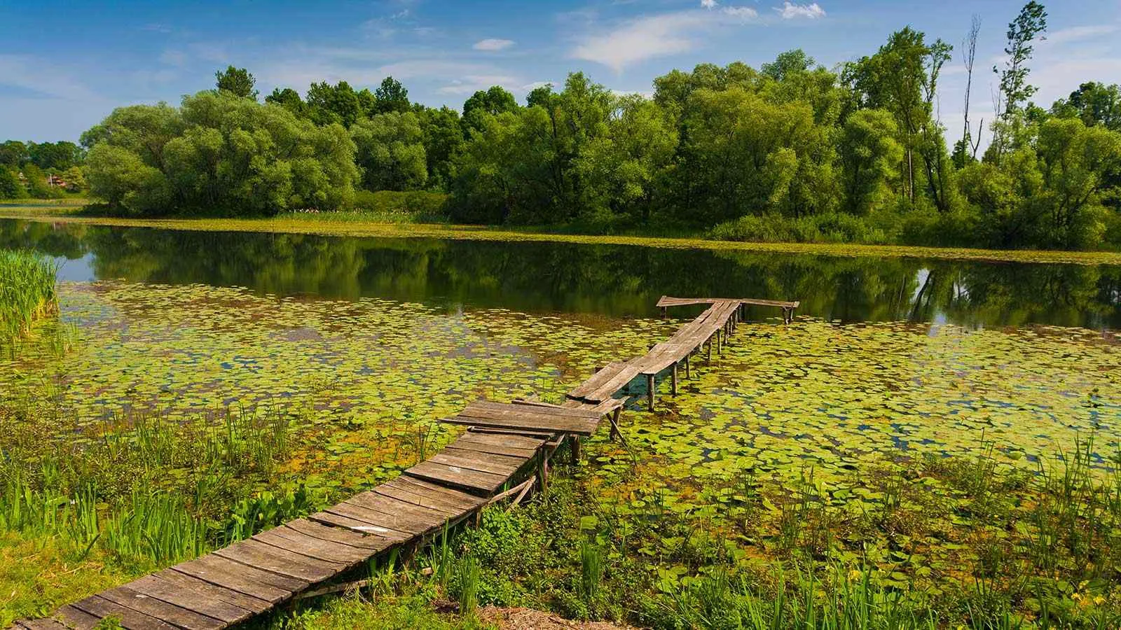 IMG 2a435c770ea14852719b37ec3f1cc422 V