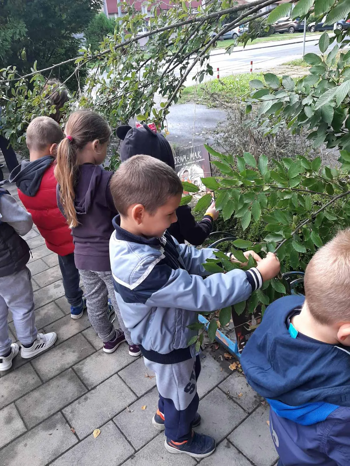 IMG 448340e92f212965573039c81020e063 V