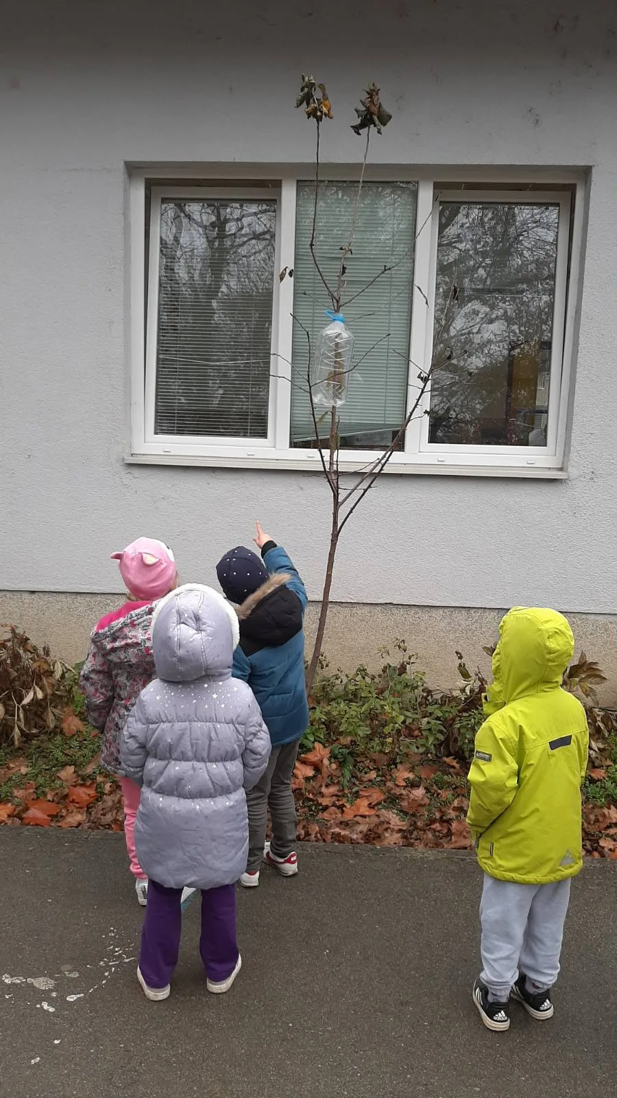 IMG a1e7cb906f8e0a3a7762cede25f1e5d8 V