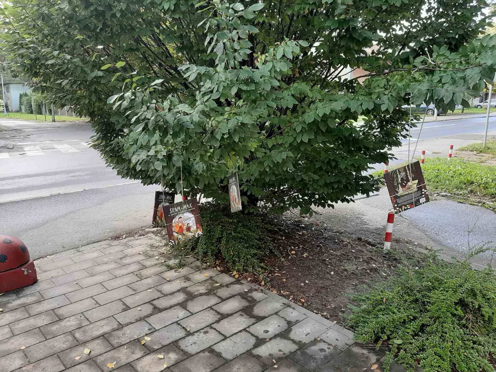 IMG ee39715cd66de7b1d563e4150690ce11 V