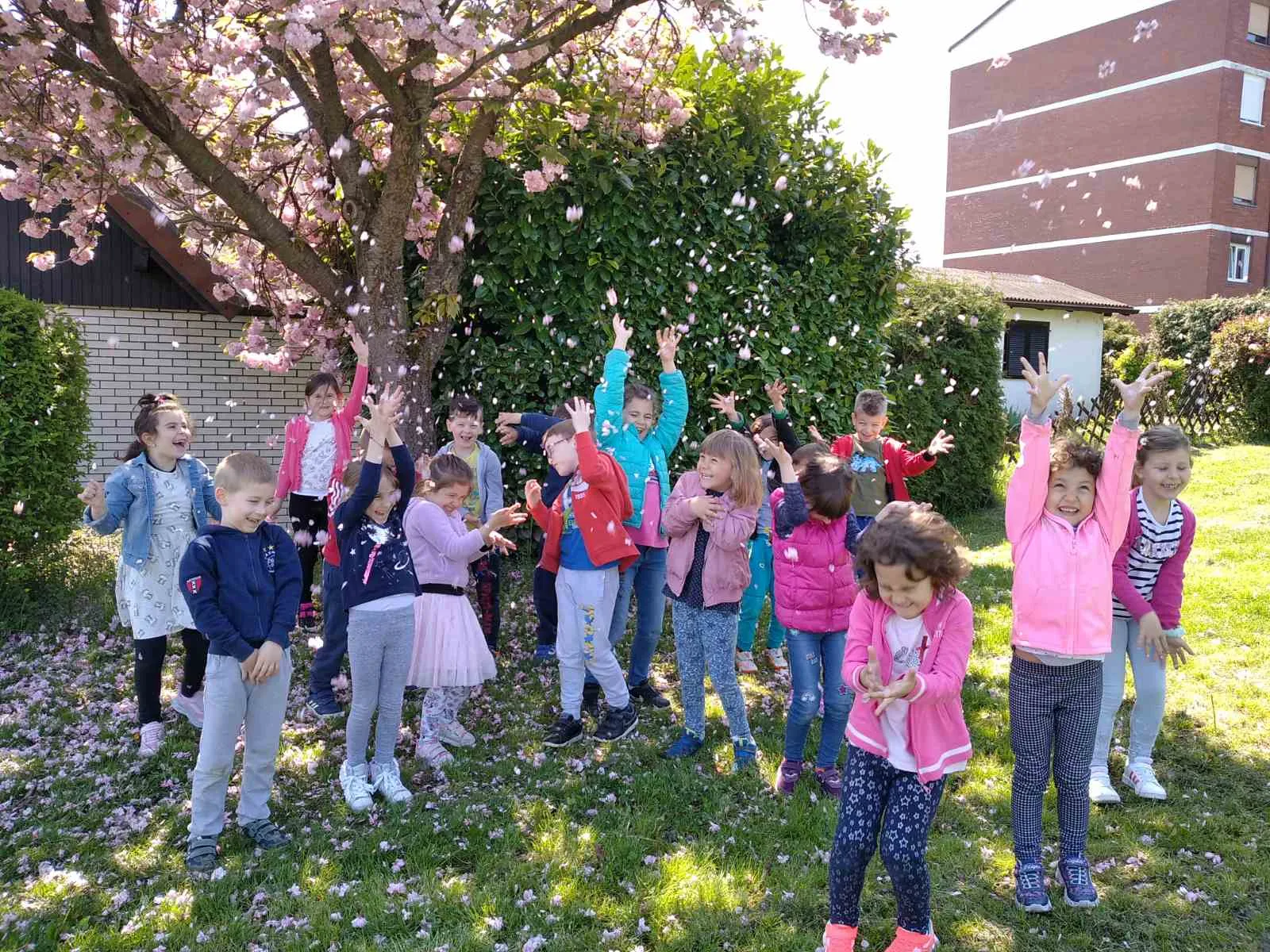 IMG b1c26ec7743619effb16b3b57b8afbf9 V