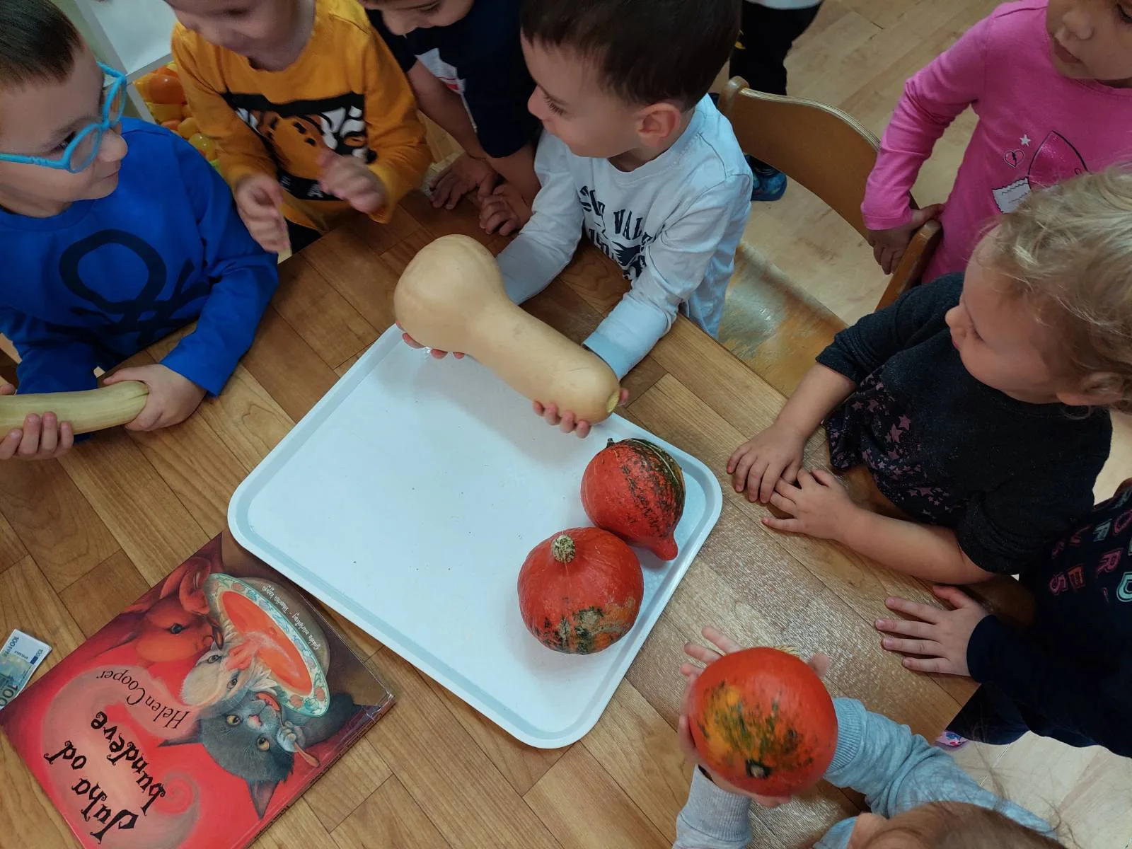 IMG 017874cc9806fba402b9c2a75a66e416 V