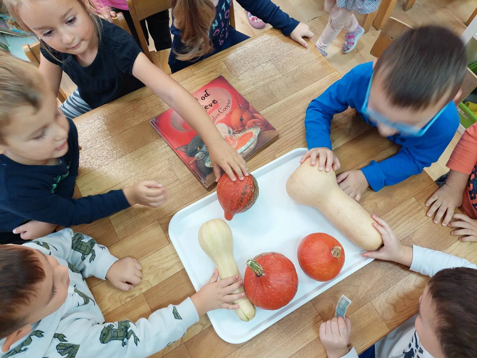 IMG 4e68b75143c58d2d1f6c0ef6bc940046 V