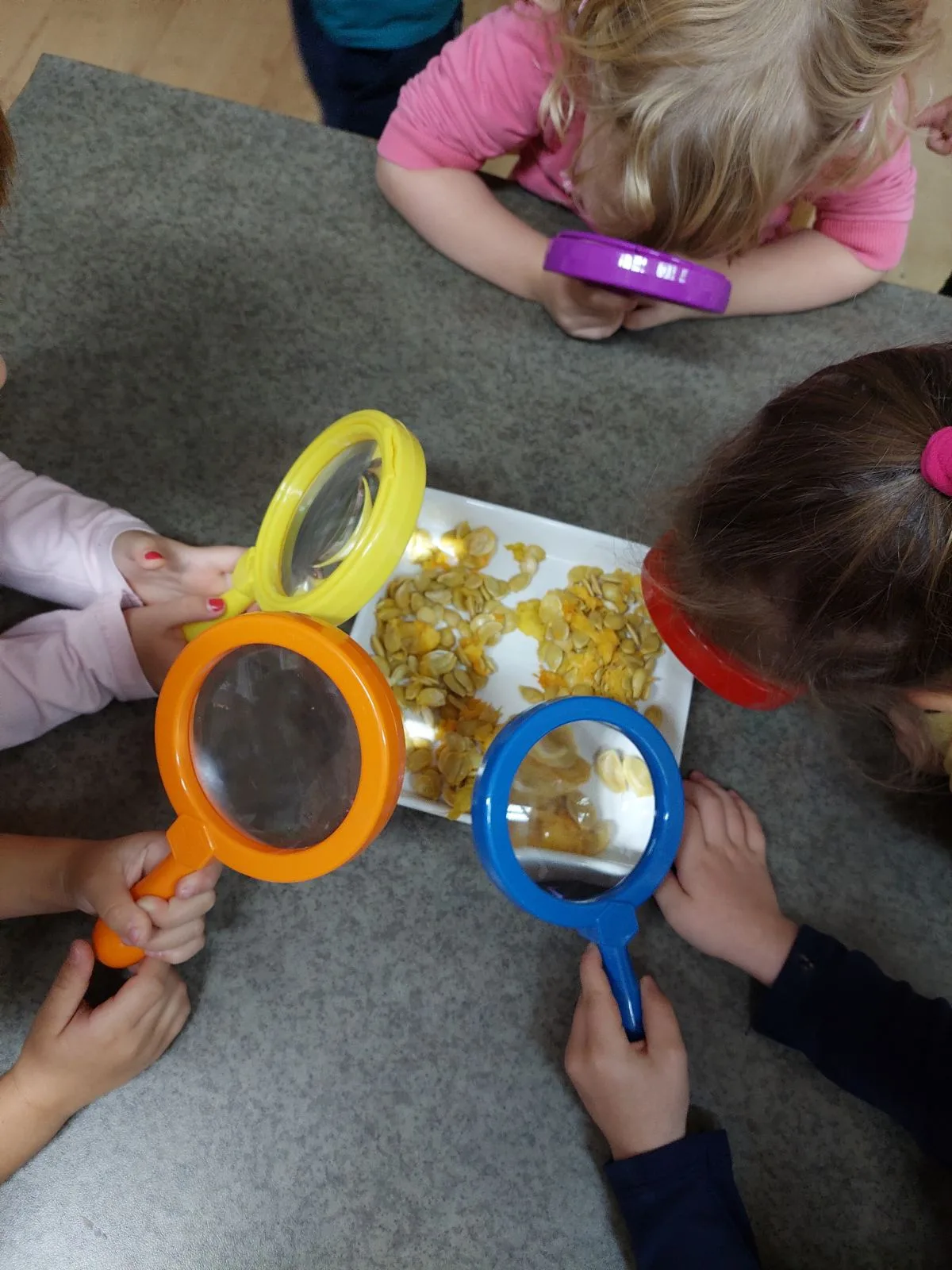 IMG 6530d377360f4b15ef65bd6cdce929c8 V