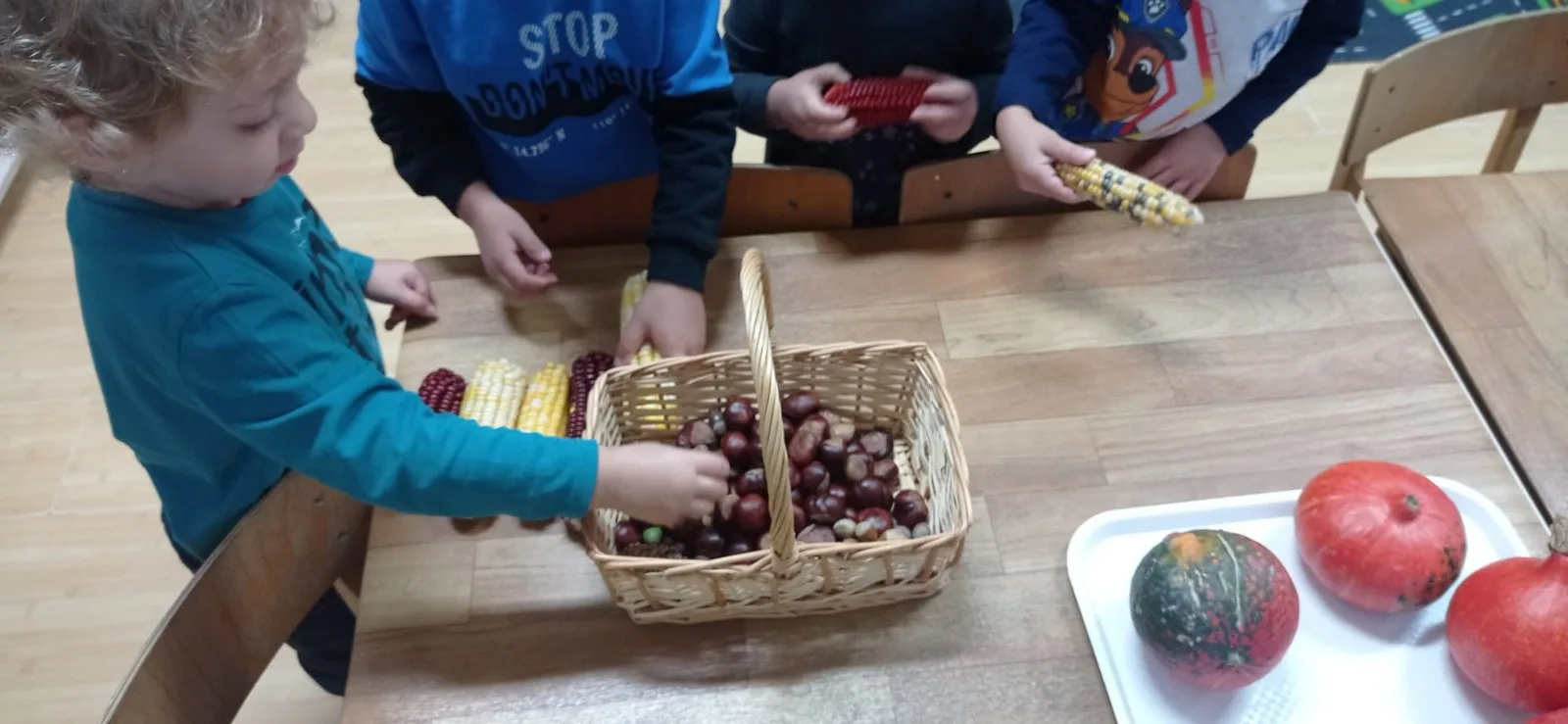 IMG 7474fa6654e20f1050c01296145d0217 V