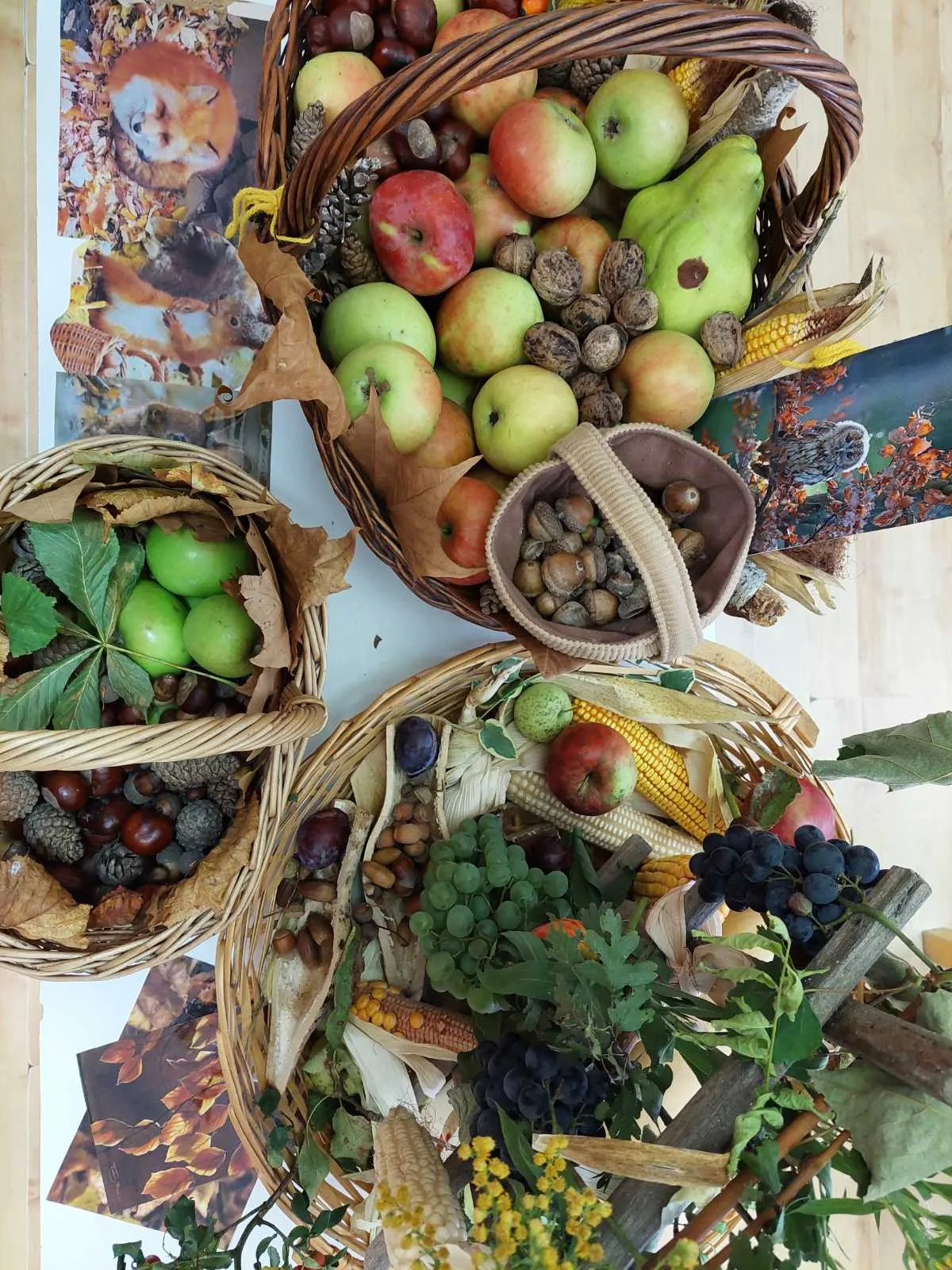 IMG 95c553baf1d12b888107a696727239dd V