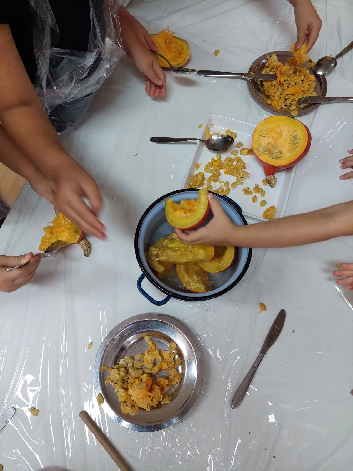 IMG 98273f7ed5c470ece2536456d8ce13fd V