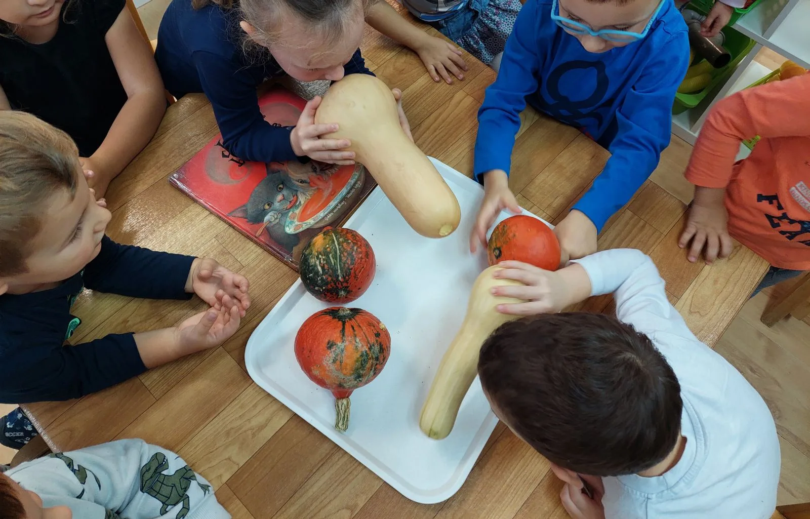 IMG a5b88997600d3ea5879a3b00c66dc498 V