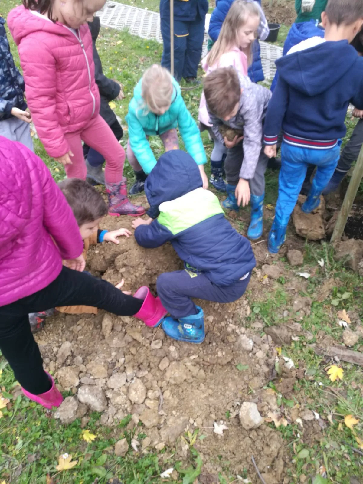 IMG 2acd0c98c256ad51abc541751f9da80e V