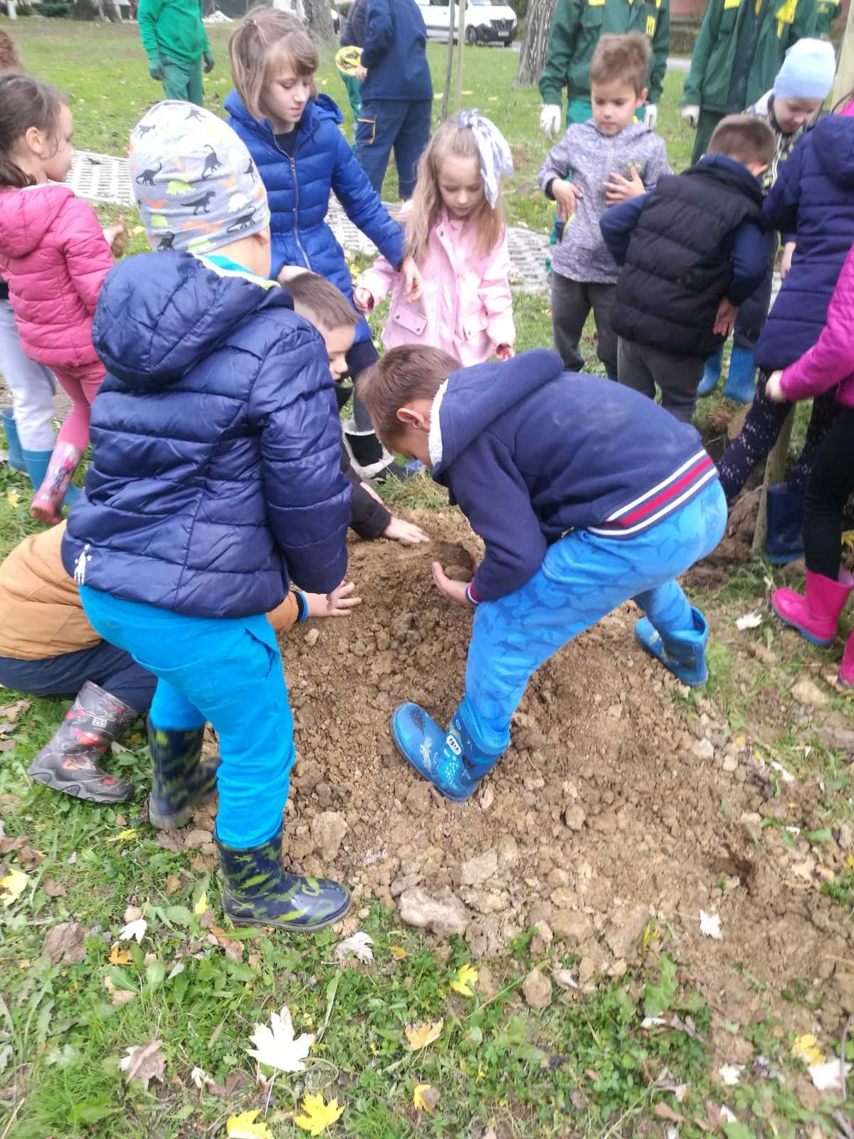 IMG 58eb922ae70dd96ee551b508af33acff V