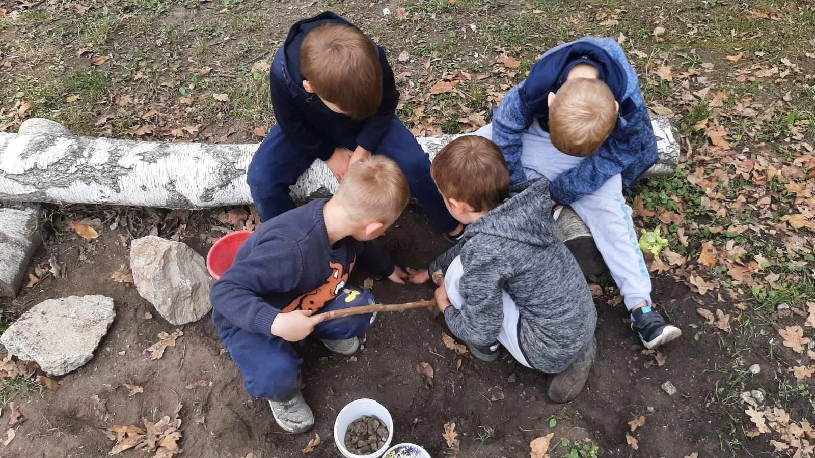 IMG 5d930cf5bf6f491048df6d83b000c84e V