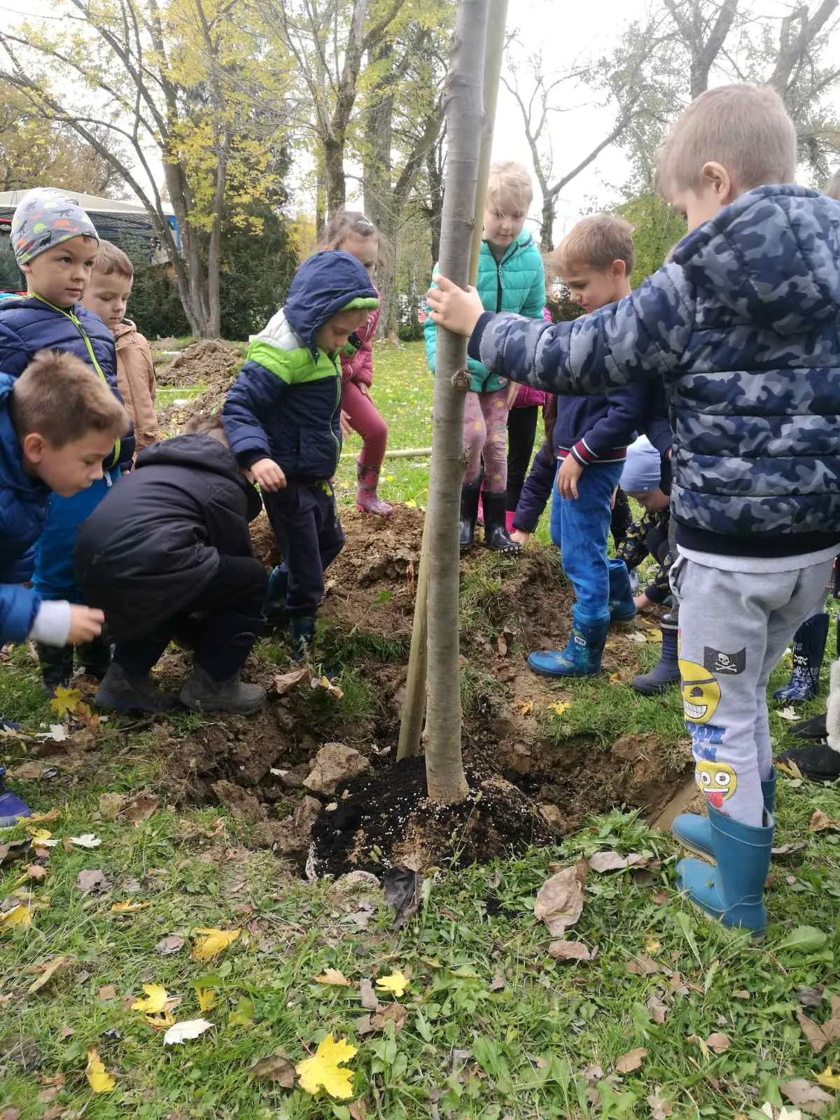 IMG 66e423b096111e4180fc3f74f3766832 V