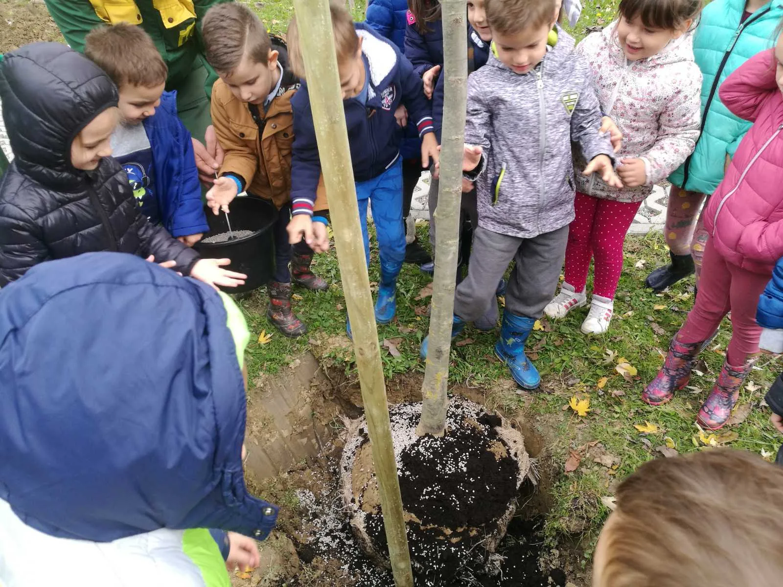 IMG 68188cf3436838ba94220bdb0a0425e4 V