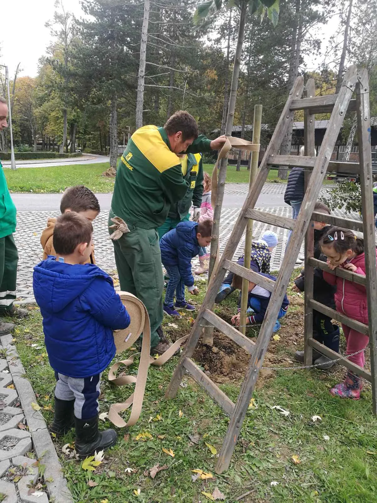 IMG da8422adc9d0417c2748487e7def51cd V