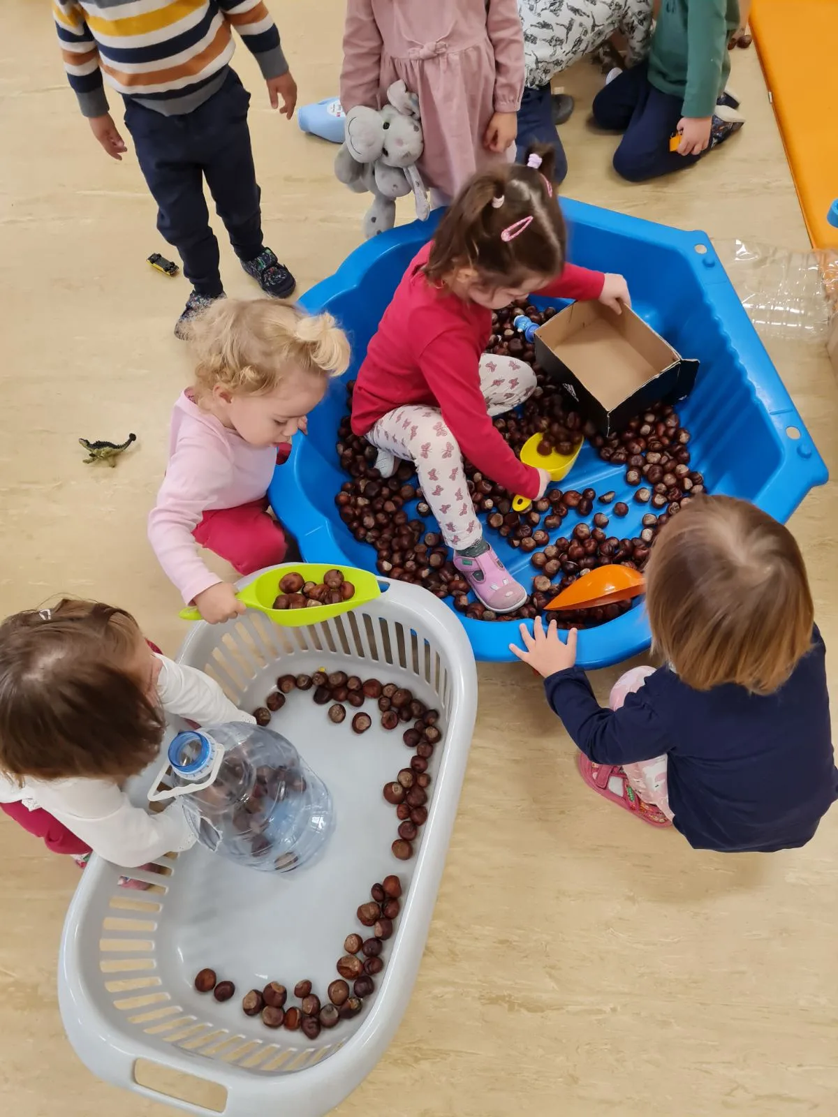 IMG e9fe6639d9dc34448b1967bd54565d03 V