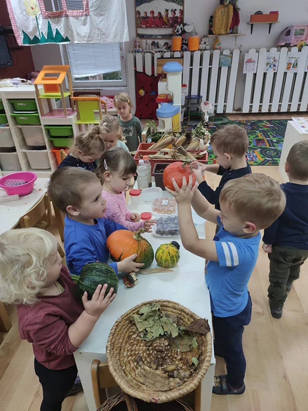 IMG fa868dead44af15e9a9f52237c318e4b V