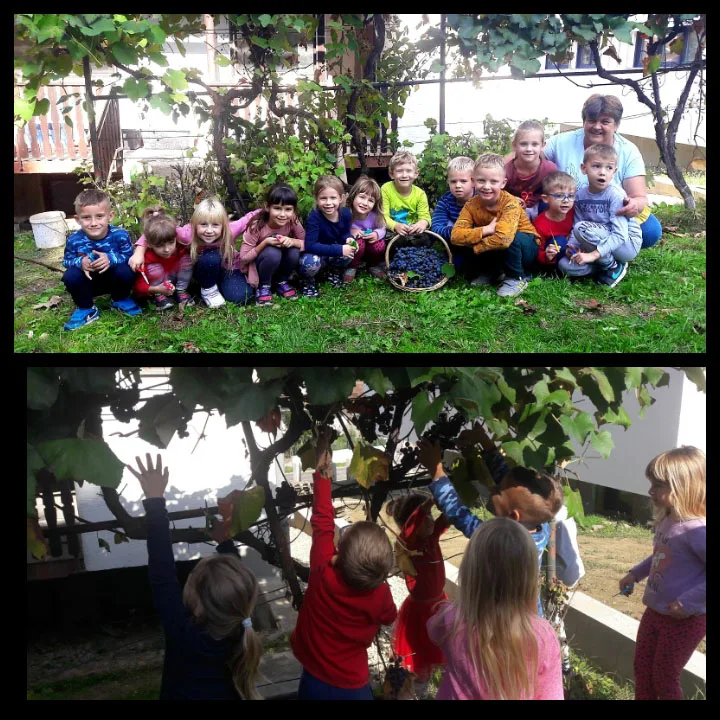 IMG 2021 10 06 15 24