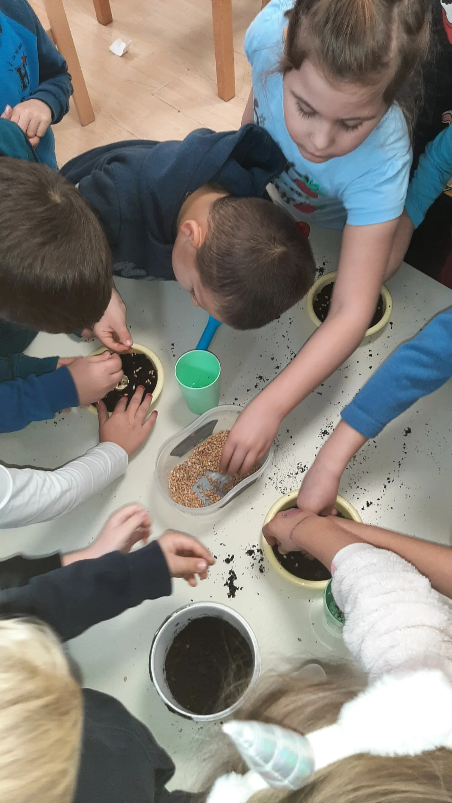 20211213_090746 20211213_090746