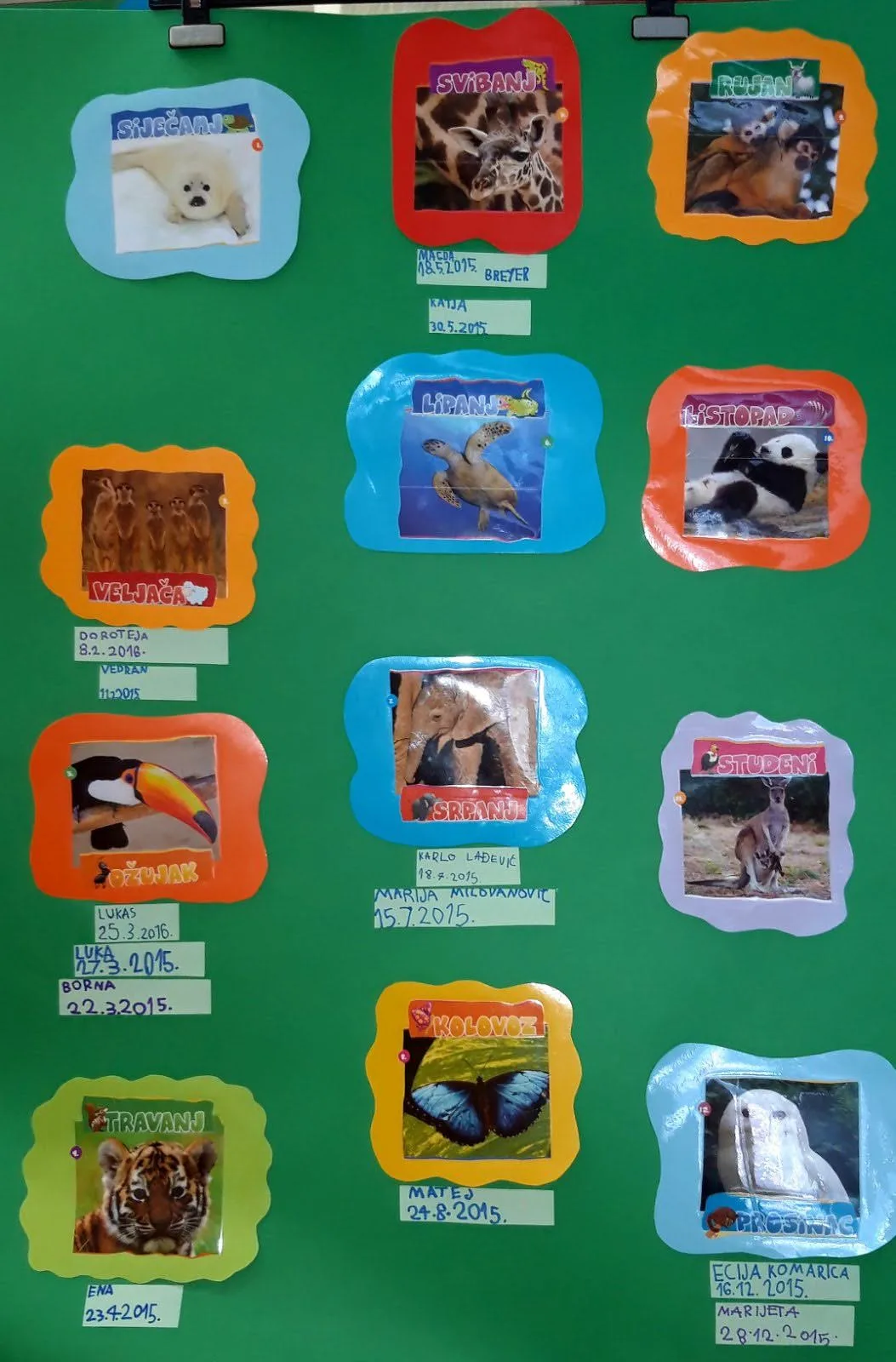 IMG 1c4a3d1e52fd3ac7c620d89652f94354 V