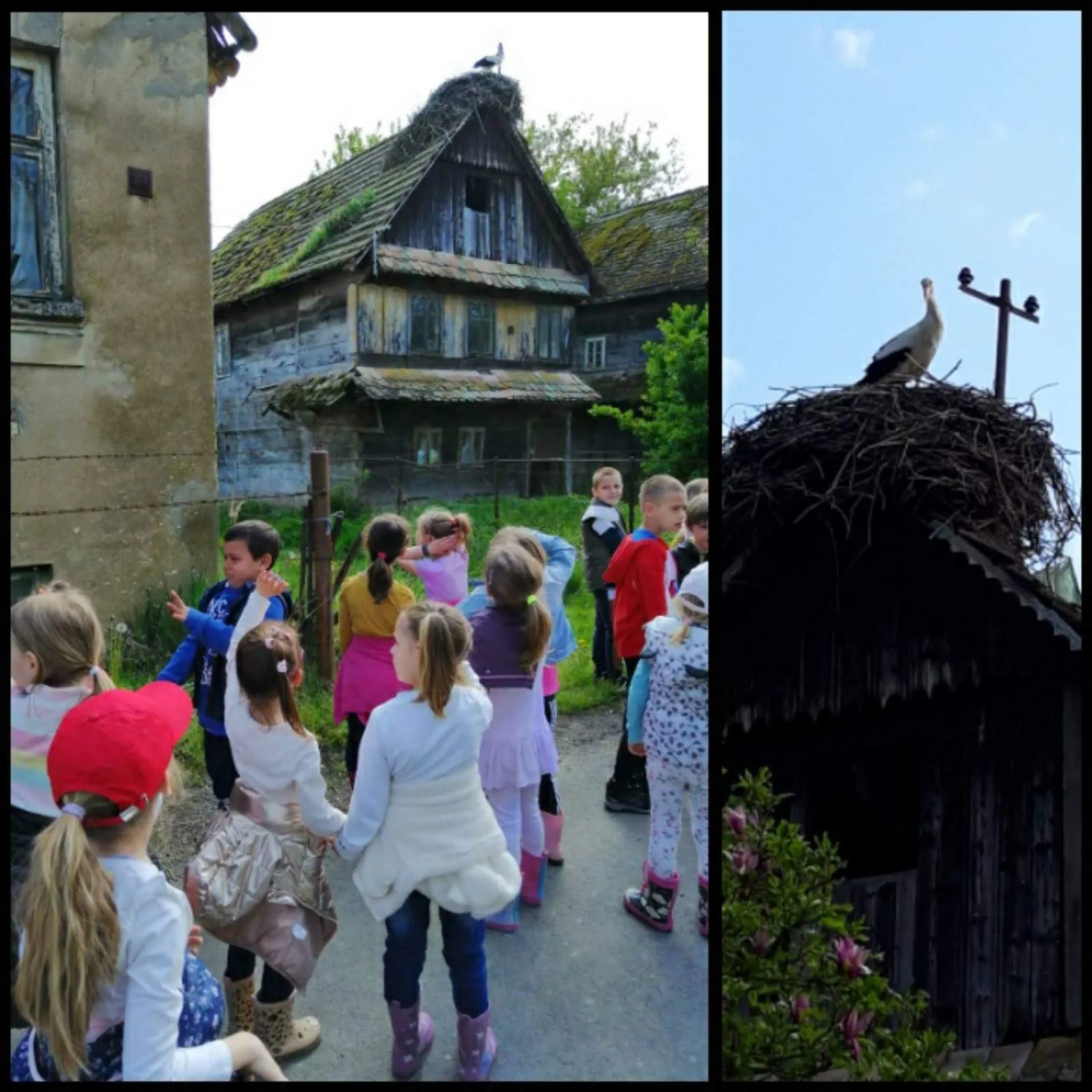 IMG 1c6a9092d88166cdfa172a6d63ecedcc V