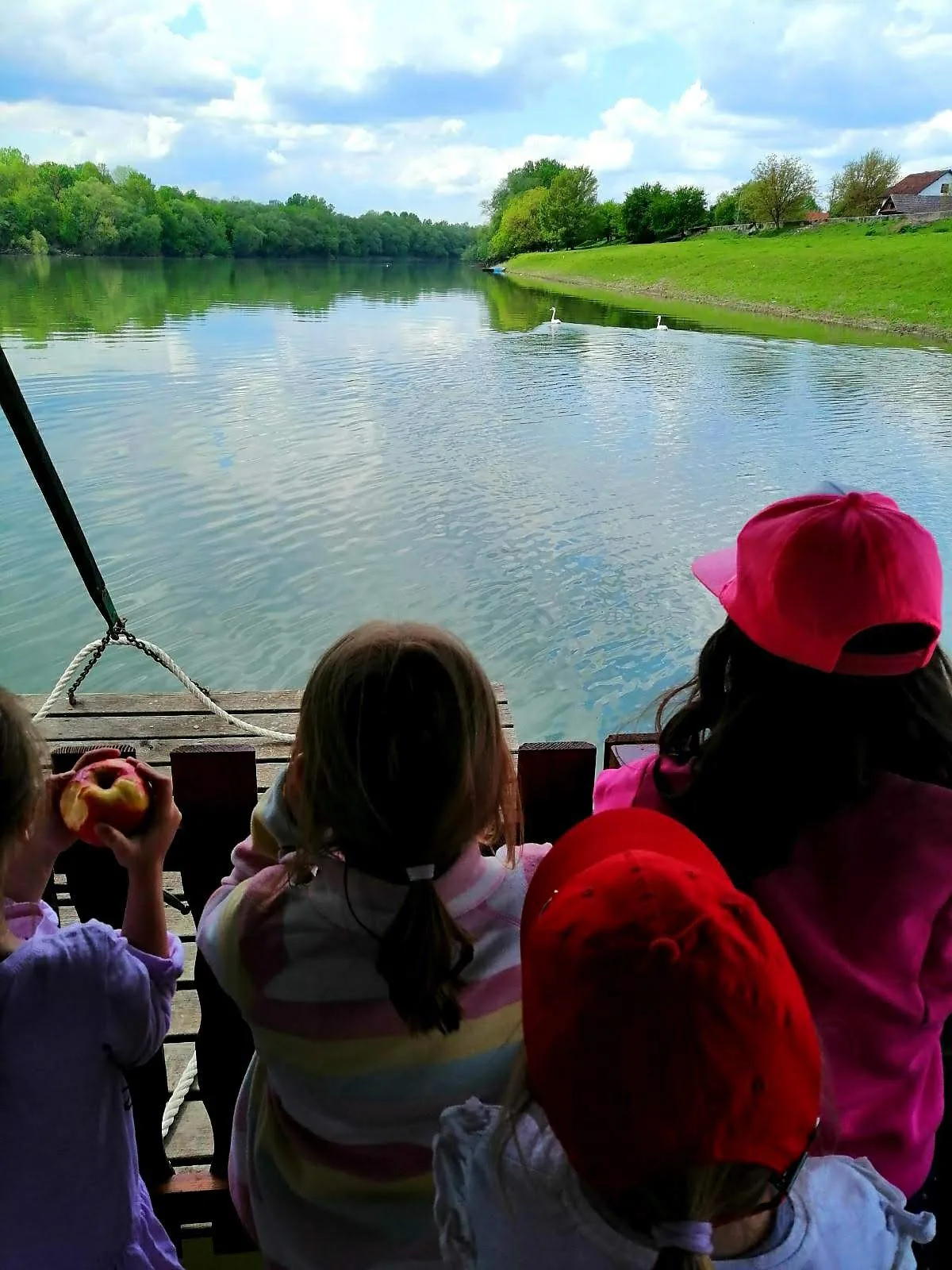 IMG 203ad093f885cd0638645ebe3850cd48 V