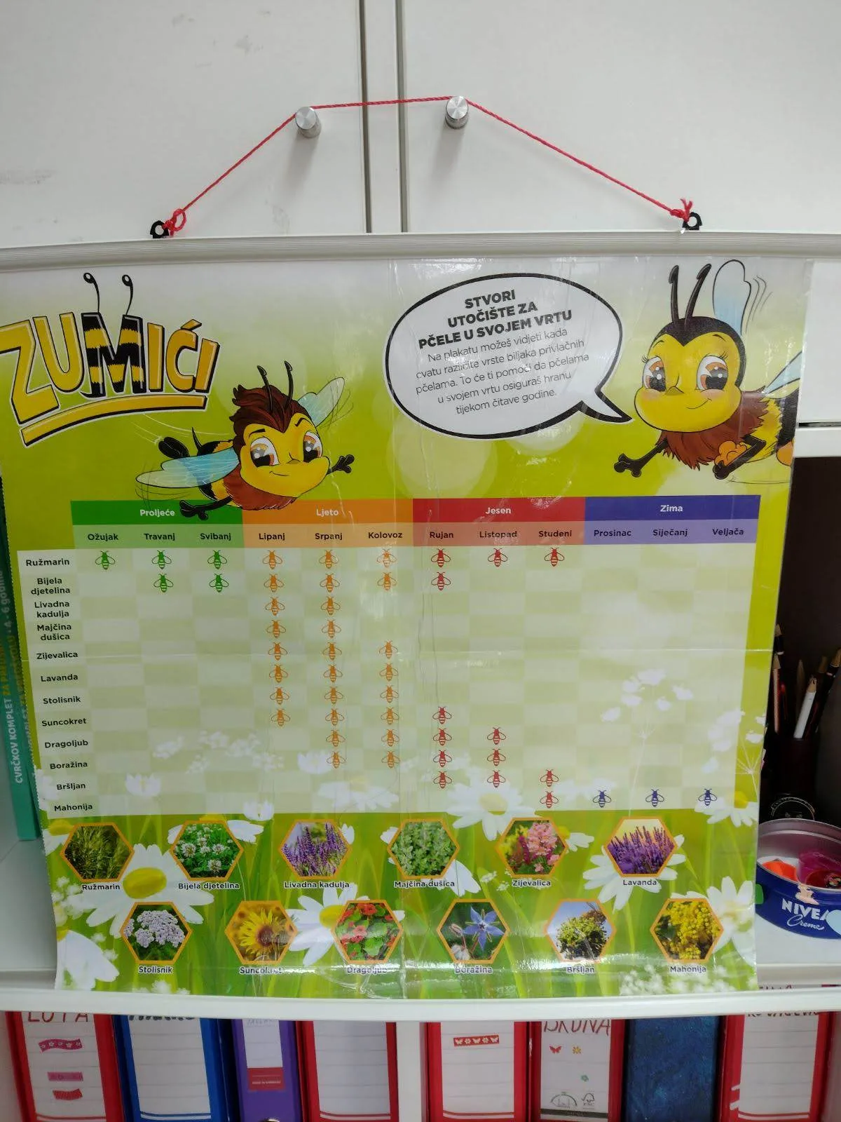 IMG 23d5c0dbfa4876099e2c711402d2d707 V