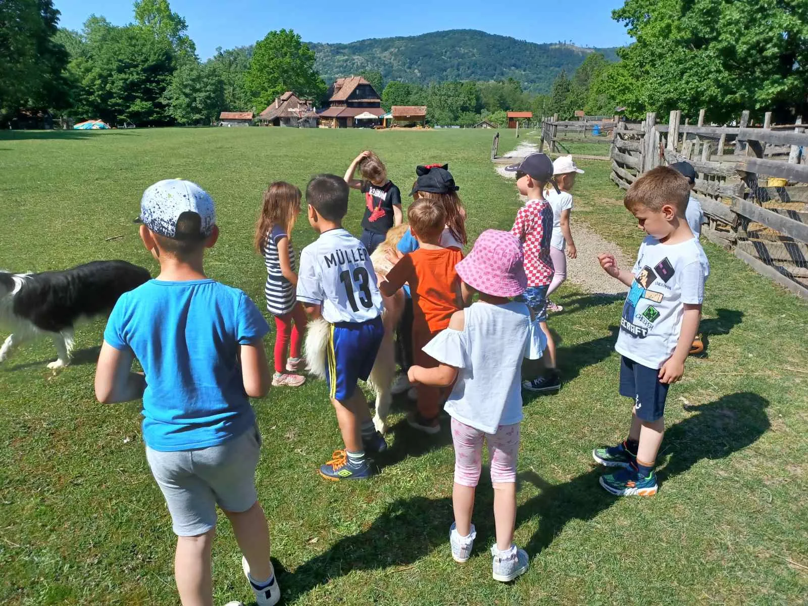 IMG 257870f19ddd3f922660b238db49546b V