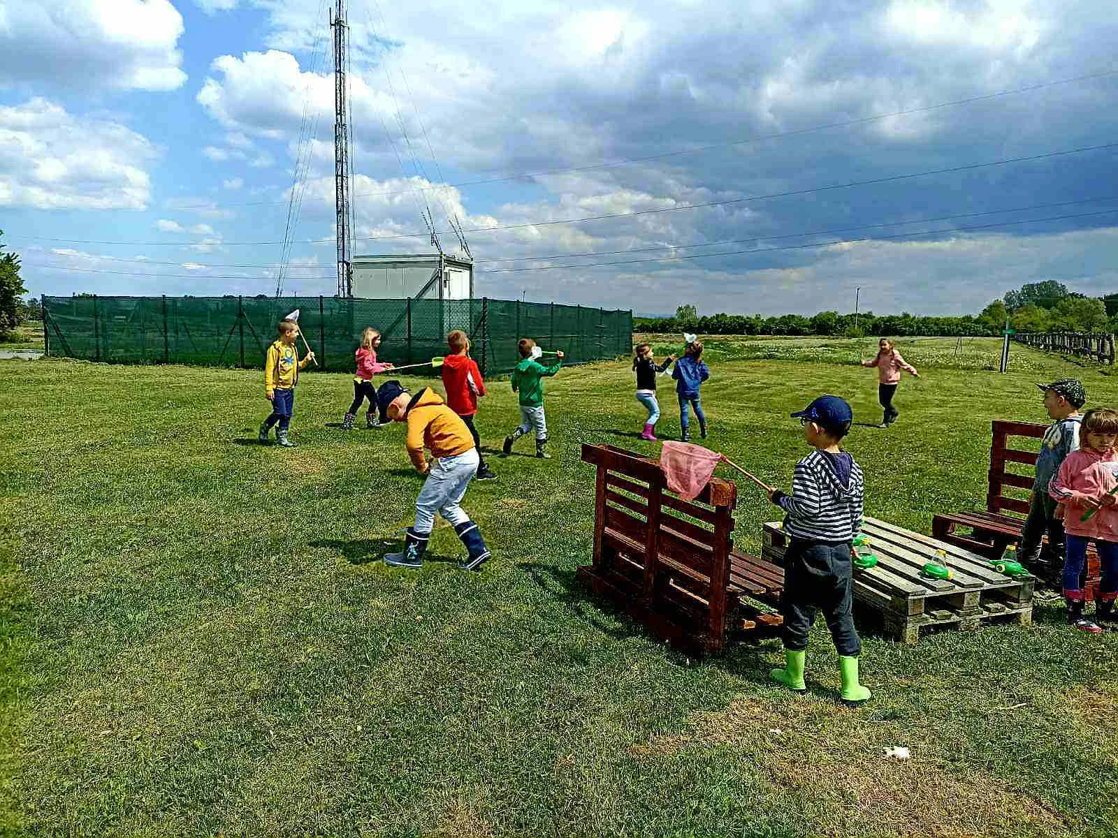 IMG 2e6fdd9f46b5776ea111f03cfa1e7fce V