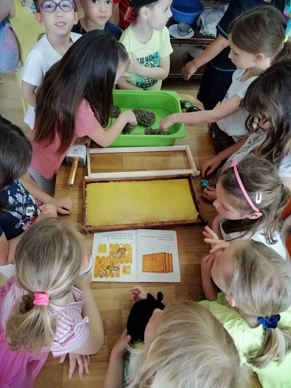 IMG 37d910a1cd449fb612d60840f6a4fa77 V