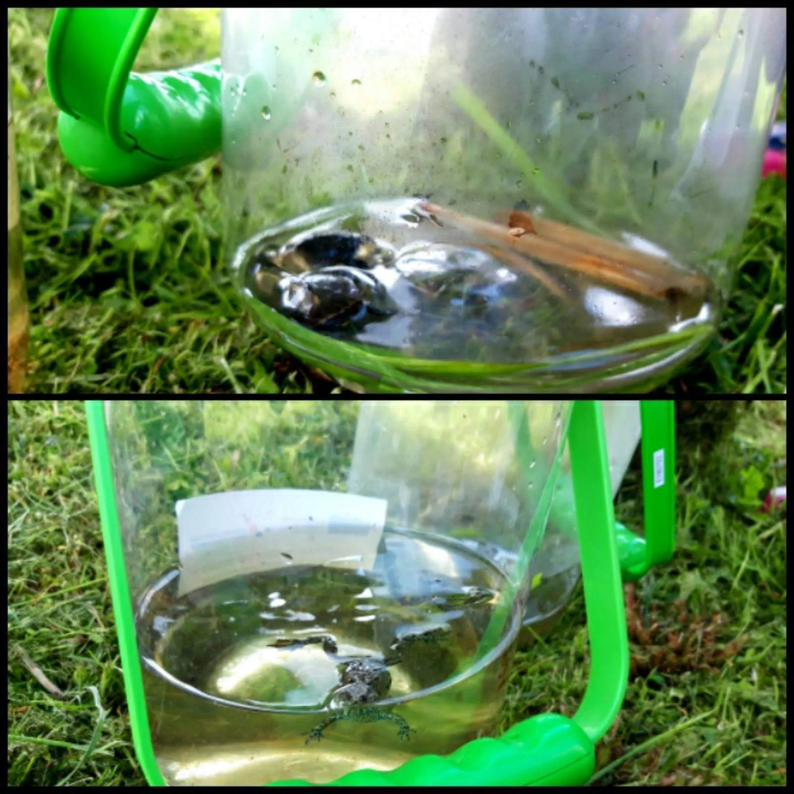 IMG 3f4062d6f85415f634dba4b3f0c9b5ed V