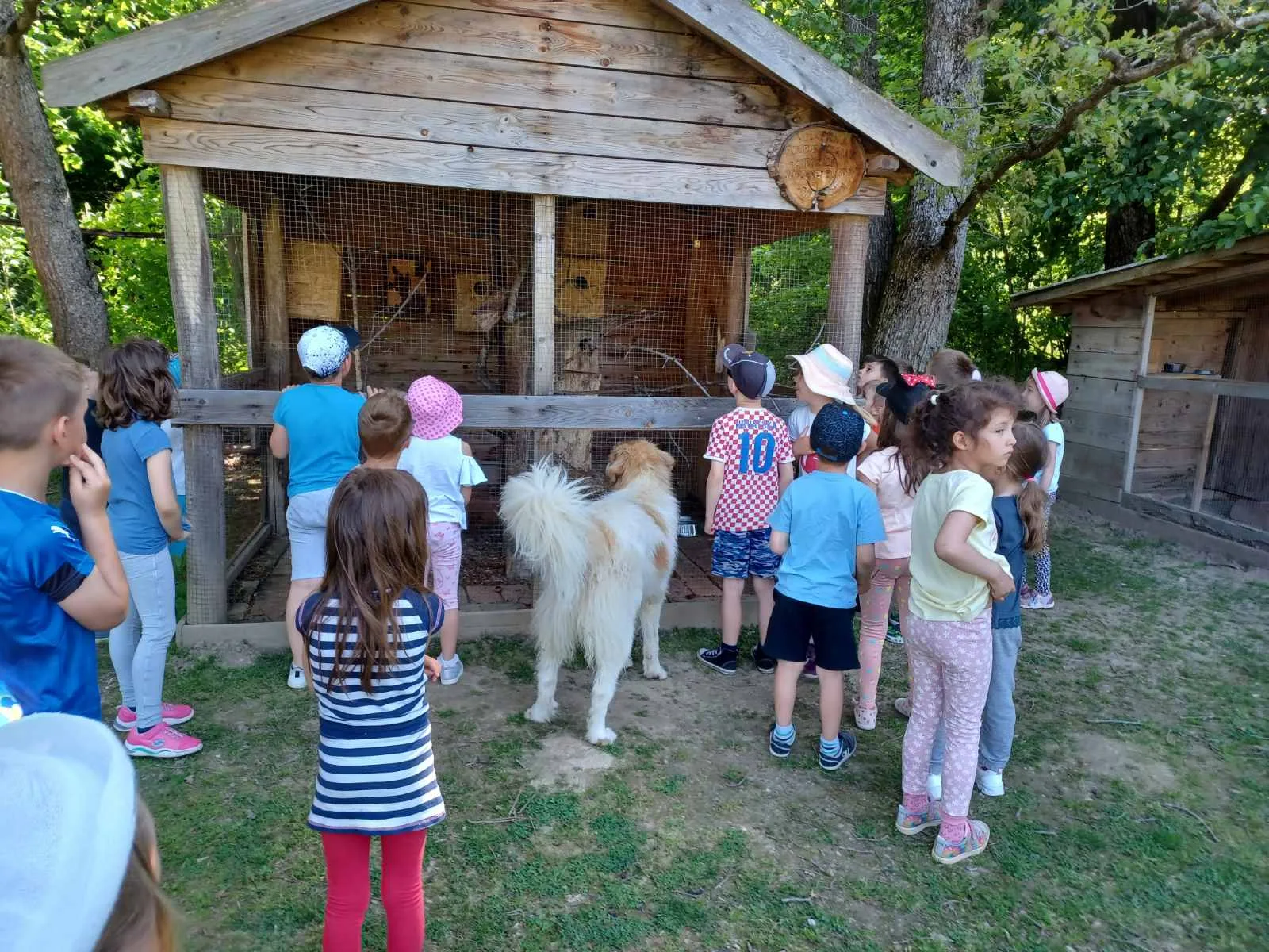 IMG 406cc649877d54b9e2f9ac8ce3cc6552 V