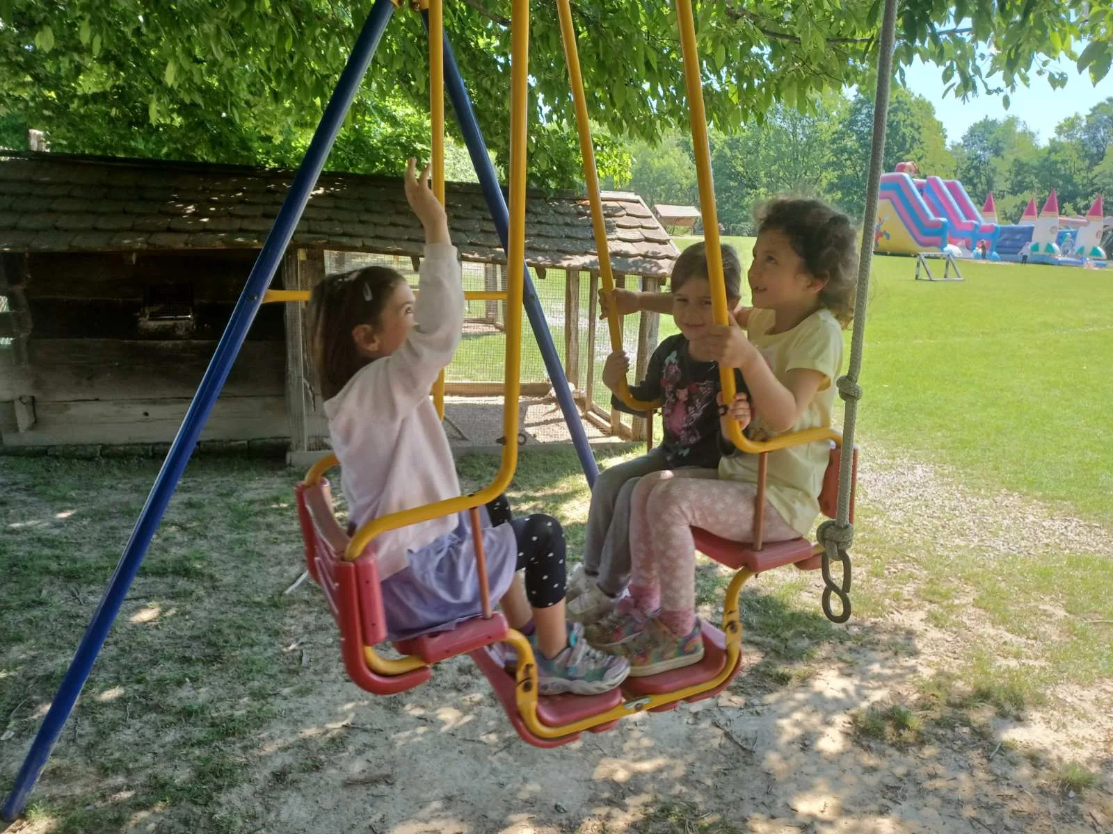 IMG 4f4d02f0309b7fc6239e15b00758ab3c V