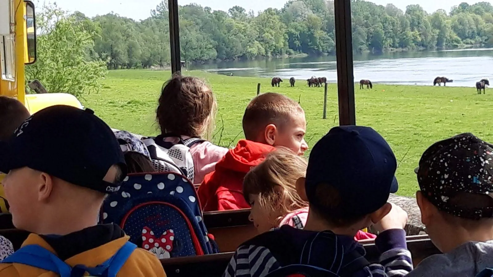 IMG 684e8f5c8e9cfdafb3f5299e39ace95f V