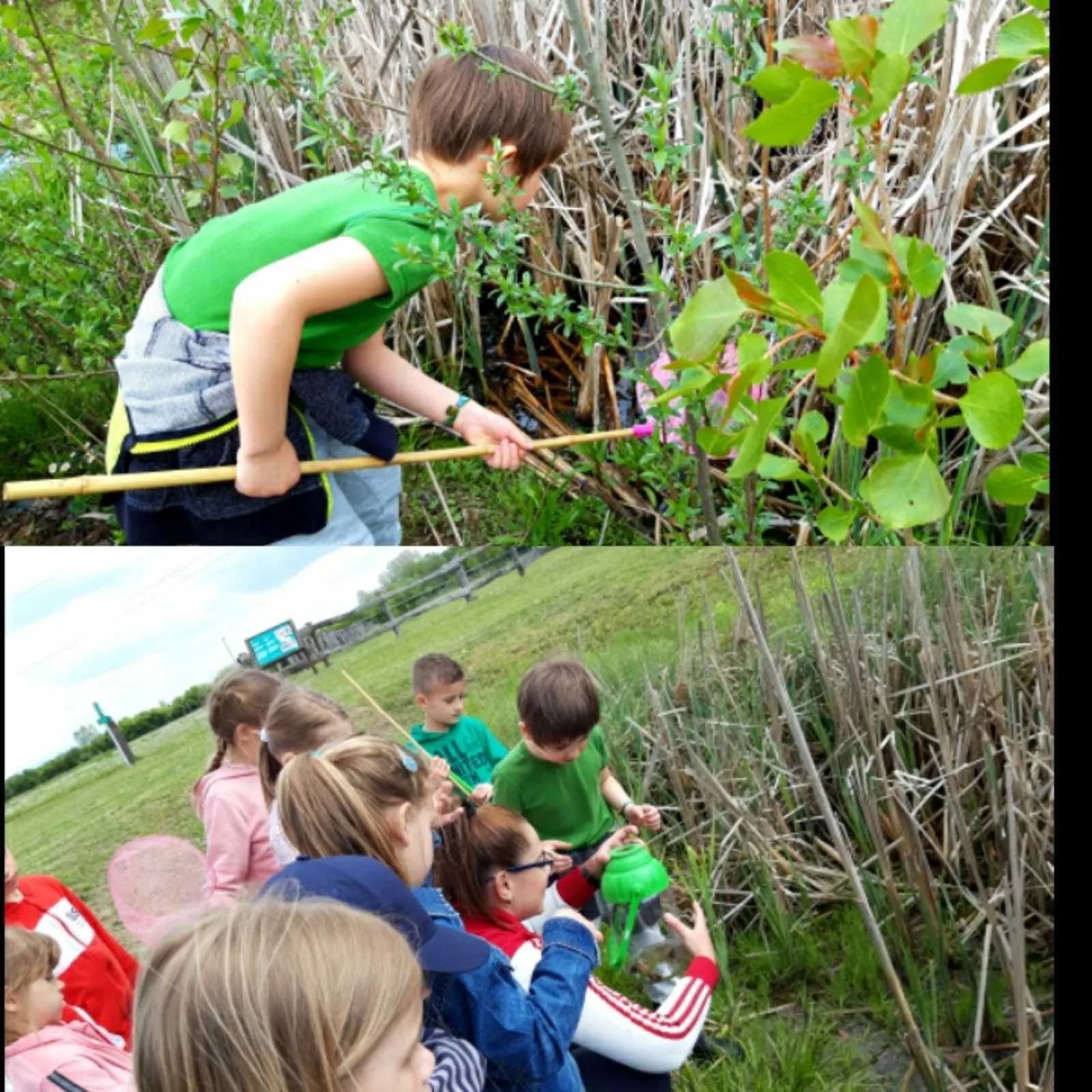 IMG 6b761e89a09efd5b42e94eb7ceafd6a8 V