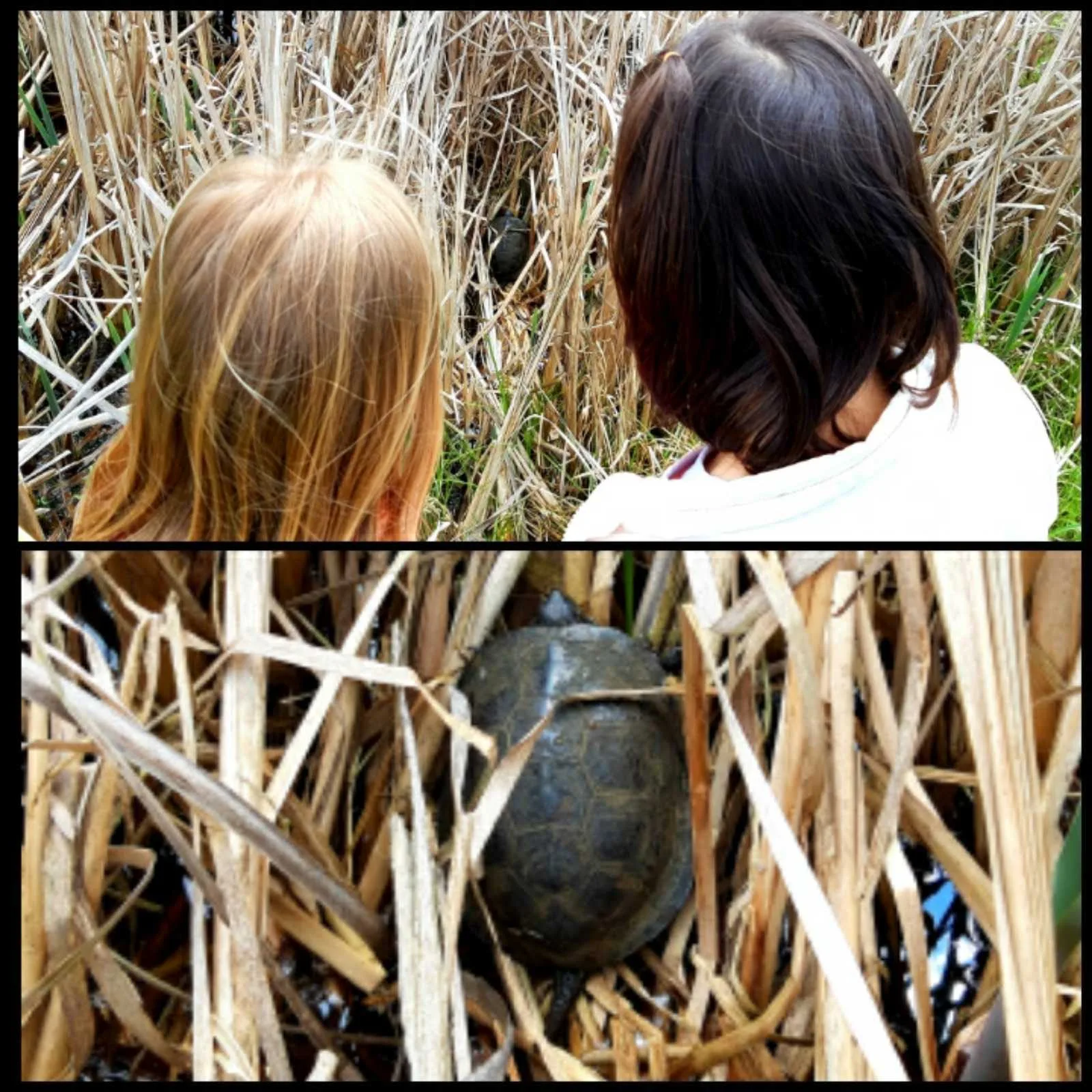 IMG 70fd586abd40adabf1e0bd4321f7b3df V