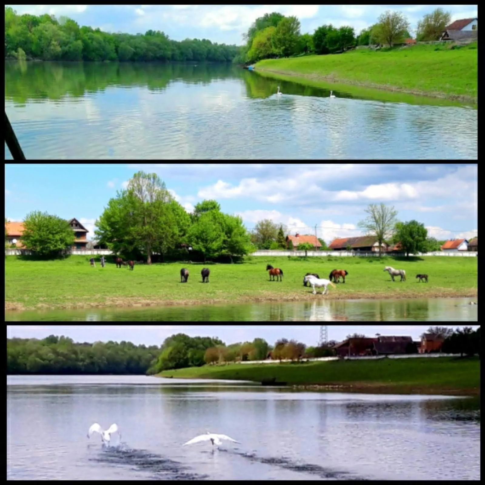 IMG 7733a135032ce872b8ad20e09467f65d V