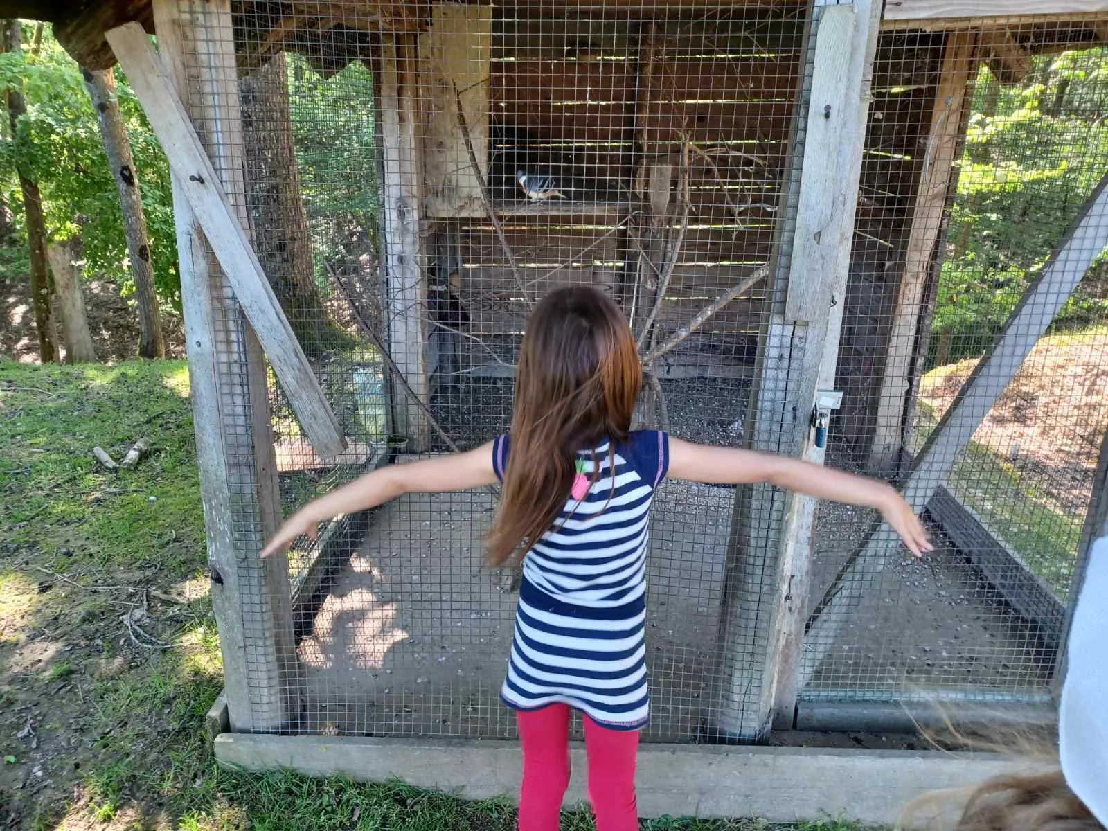 IMG 7ff3eb6a416bc03818fc7bc58bf08490 V