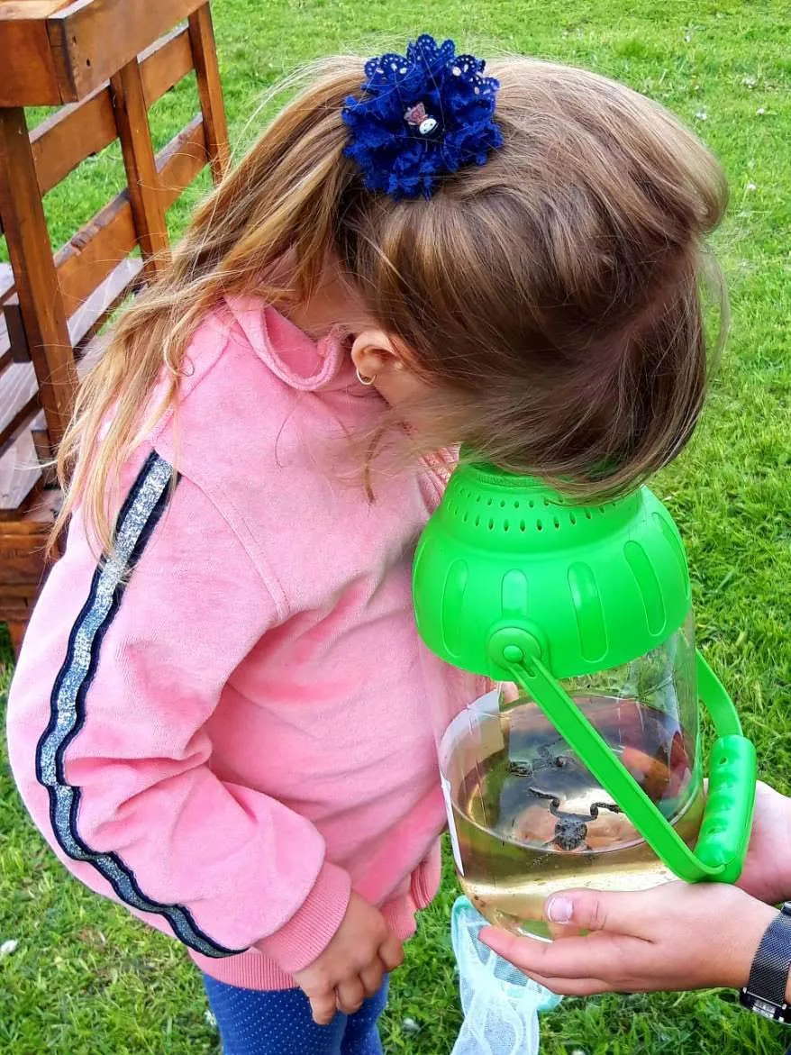 IMG a500b23bcb22f5ab273d00037b737f9d V